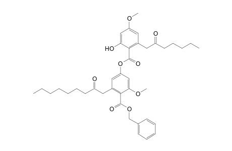 benzyl 4-[2'-hydroxy-4'-methoxy-6'-(2''-oxoheptyl)-benzoyloxy]-2-methoxy-6-(2-oxononyl)benzoate
