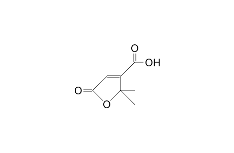 2,2-Dimethyl-5(2H)-oxo-furan-3-carboxylic acid
