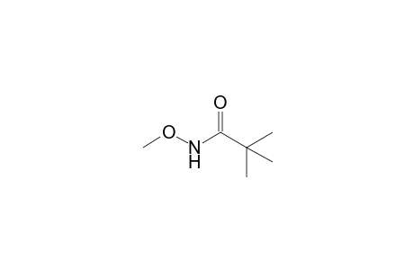 N-Methoxy-2,2-dimethylpropanamide