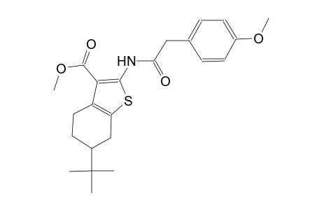 methyl 6-tert-butyl-2-{[(4-methoxyphenyl)acetyl]amino}-4,5,6,7-tetrahydro-1-benzothiophene-3-carboxylate