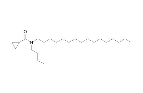 Cyclopropanecarboxamide, N-butyl-N-hexadecyl-