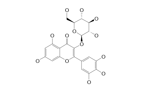 MYRICETIN-3-GLUCOPYRANOSIDE