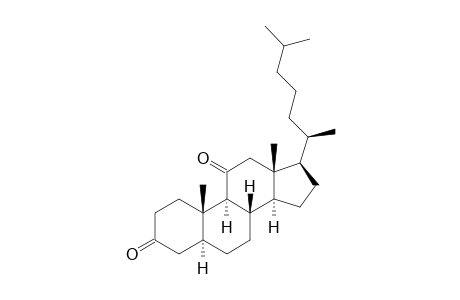 Cholestane-3,11-dione, (5.alpha.)-