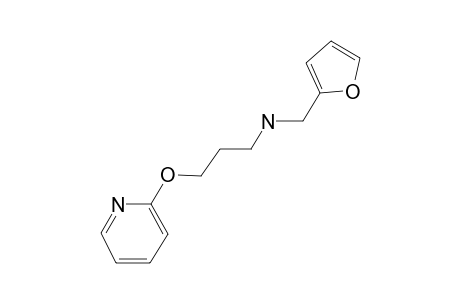 (Furan-2-ylmethyl)[3-(pyridin-2-yloxy)propyl]amine