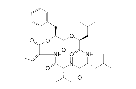 Phomalode [cyclo(Val-(E)-Aba-Hpp-Hmp-(ER)-Leu)]