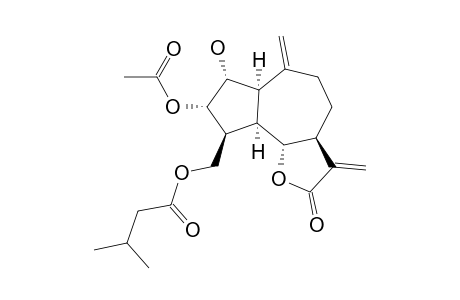 15-O-ISOVALEROYL-3-BETA-O-ACETYL-2-ALPHA-HYDROXYAMPHORICARPOLIDE