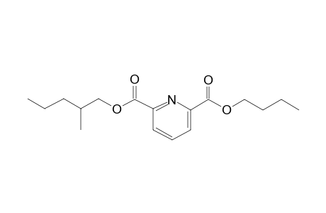 2,6-Pyridinedicarboxylic acid, butyl 2-methylpentyl ester