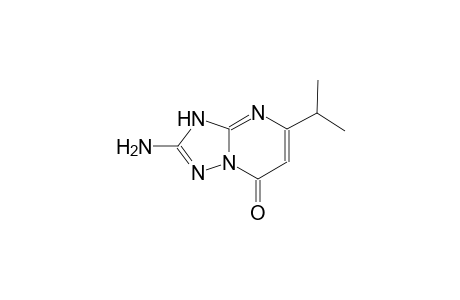 2-Amino-5-isopropyl[1,2,4]triazolo[1,5-a]pyrimidin-7(3H)-one