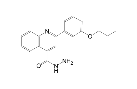 2-(3-propoxyphenyl)-4-quinolinecarbohydrazide