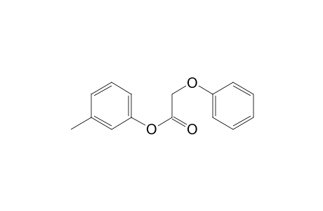 Acetic acid, phenoxy-, 3-methylphenyl ester