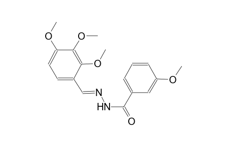 3-methoxy-N'-[(E)-(2,3,4-trimethoxyphenyl)methylidene]benzohydrazide