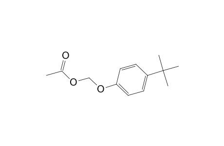 Methanol, [4-(1,1-dimethylethyl)phenoxy]-, acetate