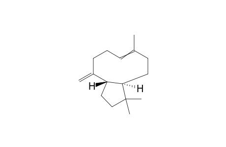 Caryophyllene