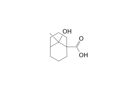 9-Hydroxy-9-methylbicyclo[3.3.1]nonan-1-carboxylic Acid