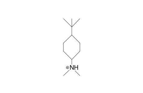 trans-4-tert-Butyl-diethyl-ammonium cation