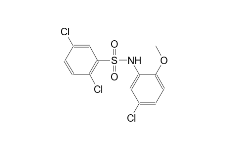2,5-dichloro-N-(5-chloro-2-methoxyphenyl)benzenesulfonamide