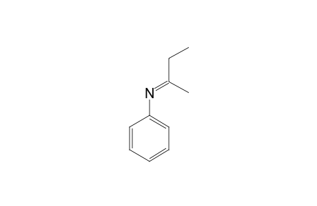 (E)-N-(1-METHYLPROPYLIDENE)-BENZENAMIDE