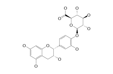 EPICATECHIN-4'-O-BETA-D-GLUCURONIDE