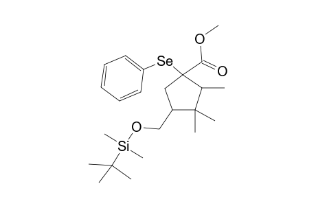 (1R,3S,5R)-methyl 1-phenylseleno-3-((tert-butyldimethylsiloxy)methyl)-4,4,5-trimethylcyclopetane-1-carboxylate