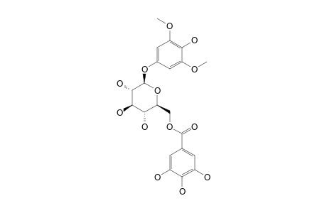 (3,5-DIMETHOXY-4-HYDROXYPHENOL)-1-O-BETA-D-(6-O-GALLOYL)-GLUCOSE