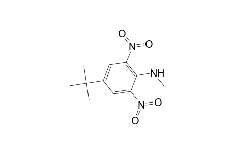 Benzenamine, 4-(1,1-dimethylethyl)-N-methyl-2,6-dinitro-