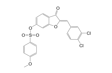 benzenesulfonic acid, 4-methoxy-, (2Z)-2-[(3,4-dichlorophenyl)methylene]-2,3-dihydro-3-oxobenzofuranyl ester