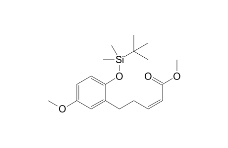 (Z)-5-[2-(tert-Butyldimethylsiloxy)-5-methoxyphenyl]pent-2-enoic acid methyl ester