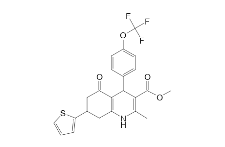 2-Methyl-5-oxo-7-thiophen-2-yl-4-[4-(trifluoromethoxy)phenyl]-4,6,7,8-tetrahydro-1H-quinoline-3-carboxylic acid methyl ester