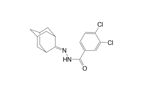 3,4-dichloro-N'-tricyclo[3.3.1.1~3,7~]dec-2-ylidenebenzohydrazide