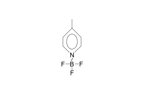 4-Methyl-pyridine boron-trifluoride complex