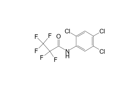 N-pentafluoropropionyl 2,4,5-trichloroaniline