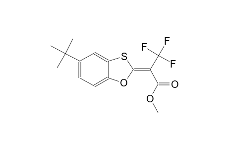 methyl (2Z)-2-(5-tert-butyl-1,3-benzoxathiol-2-ylidene)-3,3,3-trifluoropropanoate