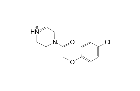 Fipexide MS3_1