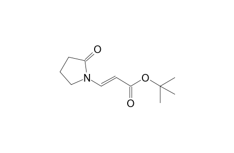tert-Butyl (E)-3-(2-Oxotetrahydro-1H-1-pyrrolyl)-2-propenoate