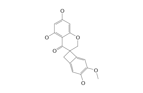 4,5',7'-trihydroxy-3-methoxyspiro[bicyclo[4.2.0]octa-1,3,5-triene-8,3'-chroman]-4'-one