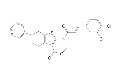 methyl 2-{[(2E)-3-(3,4-dichlorophenyl)-2-propenoyl]amino}-6-phenyl-4,5,6,7-tetrahydro-1-benzothiophene-3-carboxylate