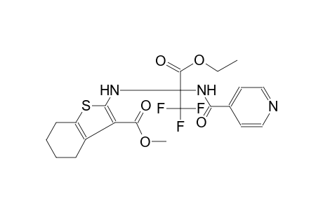 benzo[b]thiophene-3-carboxylic acid, 2-[[1-(ethoxycarbonyl)-2,2,2-trifluoro-1-[(4-pyridinylcarbonyl)amino]ethyl]amino]-4,5,6,7-tetrahydro-,