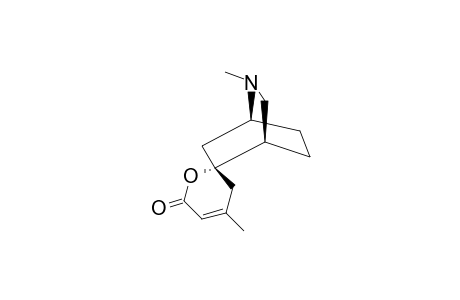 Dioscorine