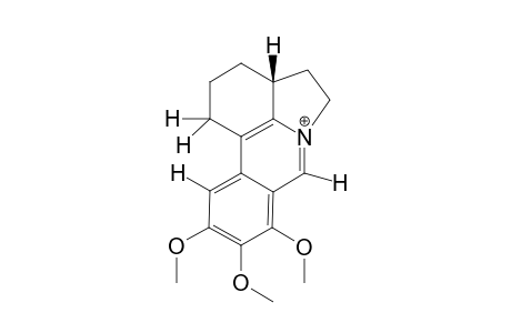 8,9,10-Trimethoxy-1,2,3,3a,4,5-hexahydropyrrolophenanthridinium Chloride
