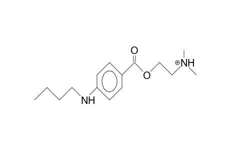 4-Butylamino-benzoic acid, 2-dimethylammonio-ethyl ester cation