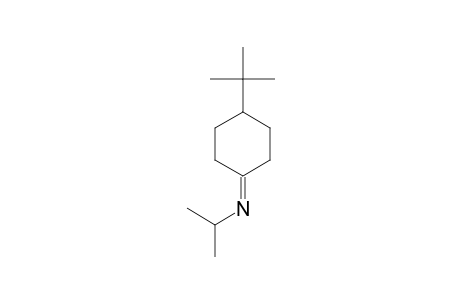 N-(ISOPROPYL)-4-(TERT.-BUTYL)-CYCLOHEXAN-IMINE