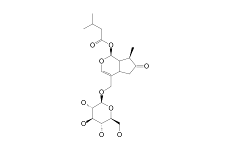 EBULOSIDE