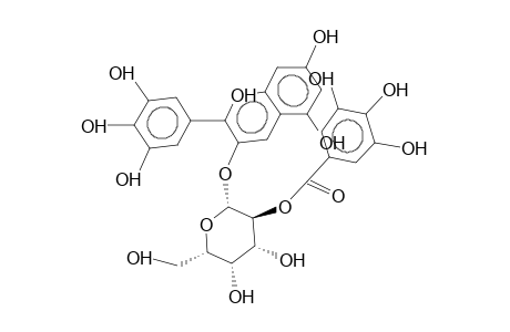 DELPHINIDIN-3-O-(2-O-GALLOYL-beta-D-GALACTOPYRANOSIDE)
