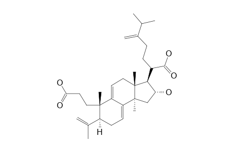 PORICOIC-ACID-A;16-ALPHA-HYDROXY-3,4-SECOLANOSTA-4(28),7,9(11),24(31)-TETRAEN-3,21-DIOIC-ACID