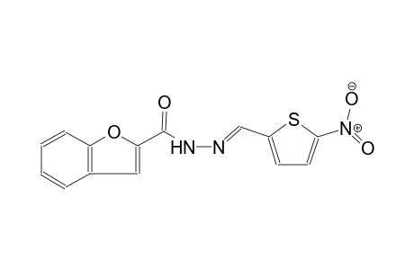 N'-[(E)-(5-nitro-2-thienyl)methylidene]-1-benzofuran-2-carbohydrazide