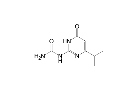 6-Isopropyl-2-ureido-4(3H)-pyrimidine