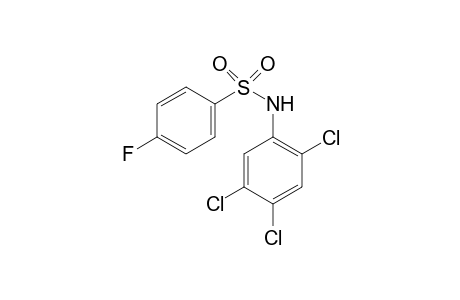 4-Fluoro-N-(2,4,5-trichloro-phenyl)-benzenesulfonamide