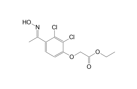 ethyl {2,3-dichloro-4-[(1E)-N-hydroxyethanimidoyl]phenoxy}acetate