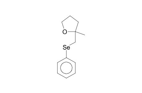 2-Methyl-2-[(phenylselanyl)methyl]tetrahydrofuran
