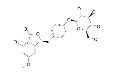 3-(4-BETA-GLUCOPYRANOSYLOXY-BENZYL)-7-HYDROXY-5-METHOXY-PHTALIDE